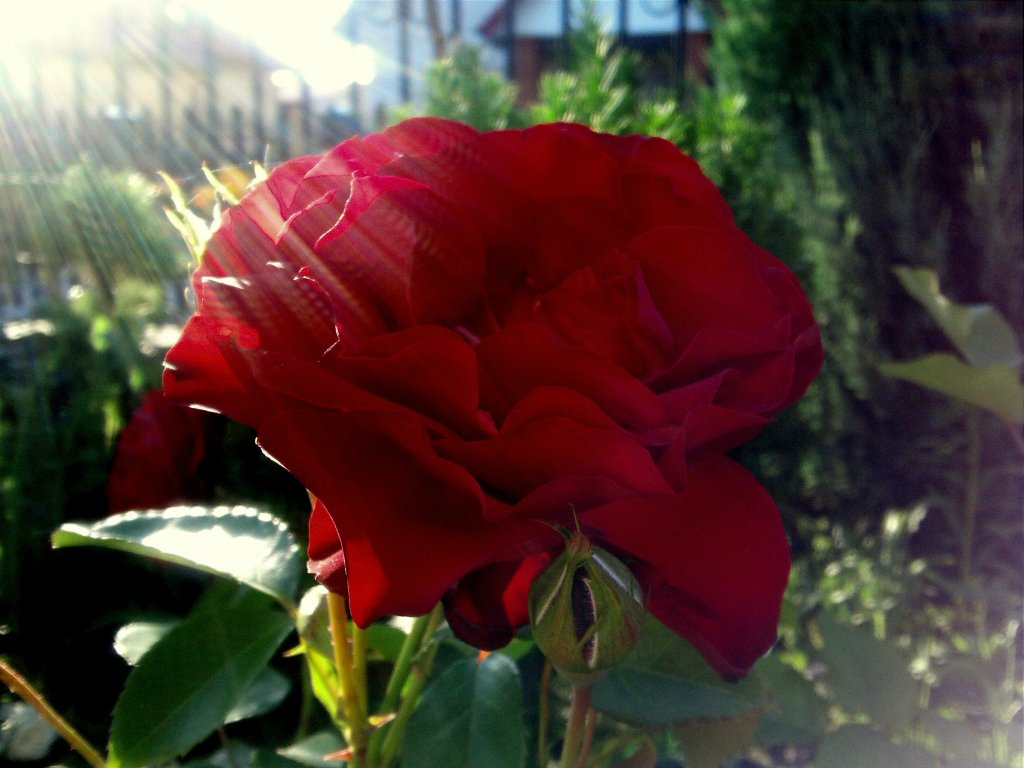 Promienna ra ;)
