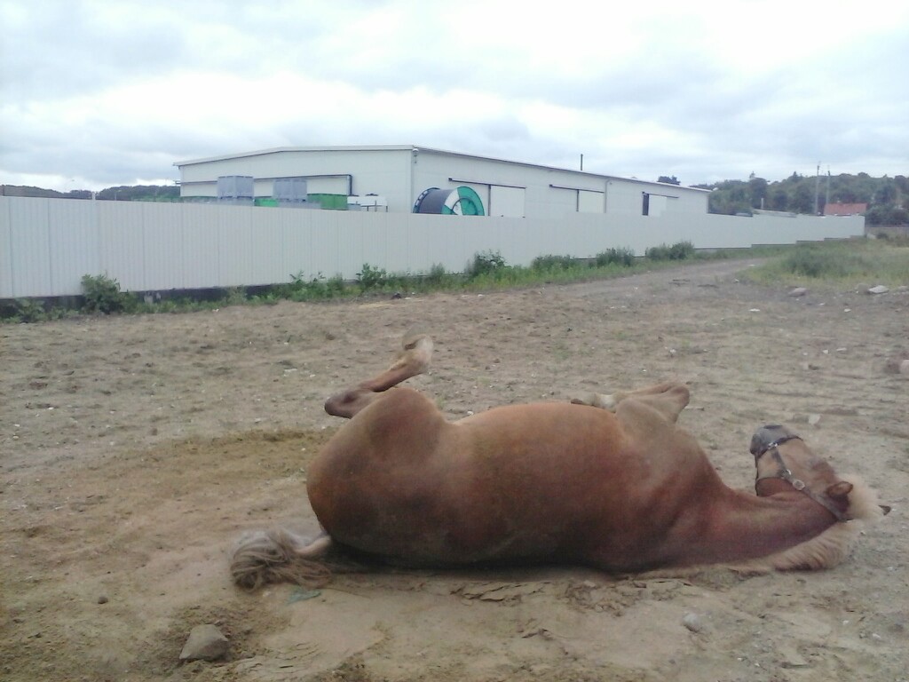 ;*
