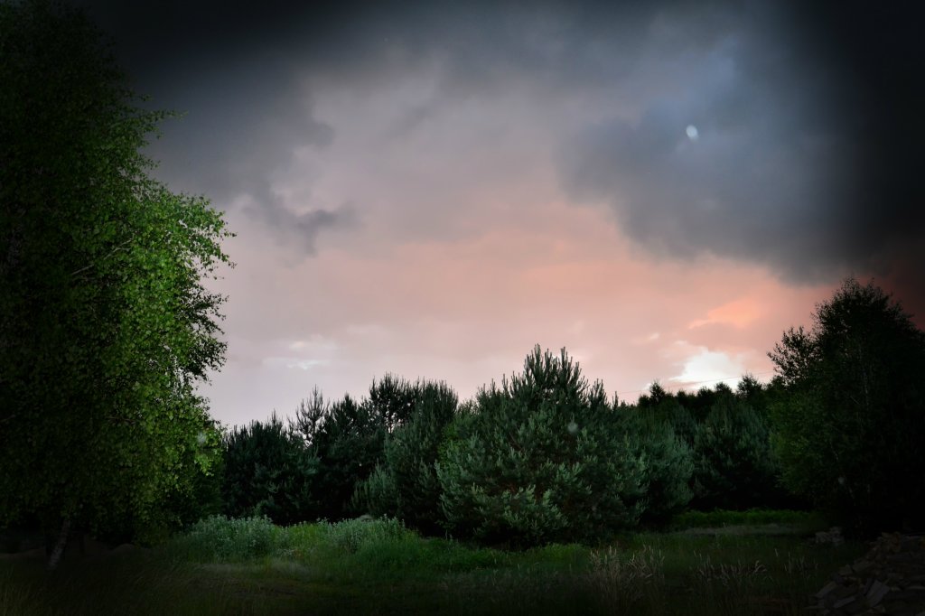 Widok na cz dziaki