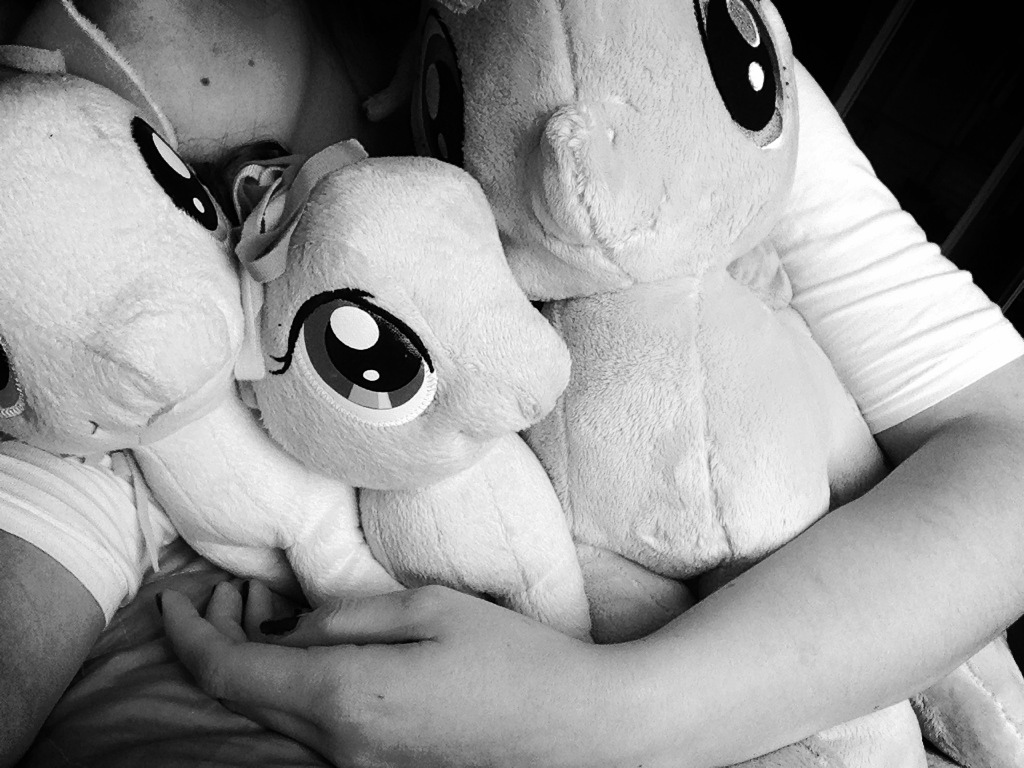 PONYMEET
