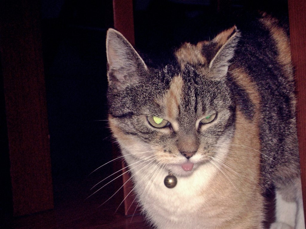 Kluska :)