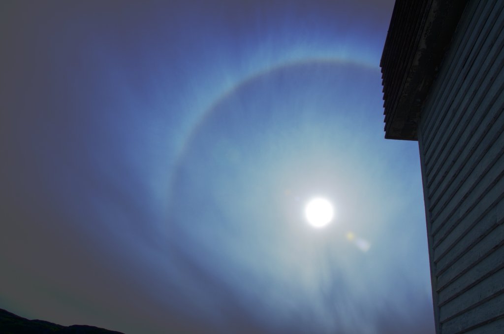 Halo?