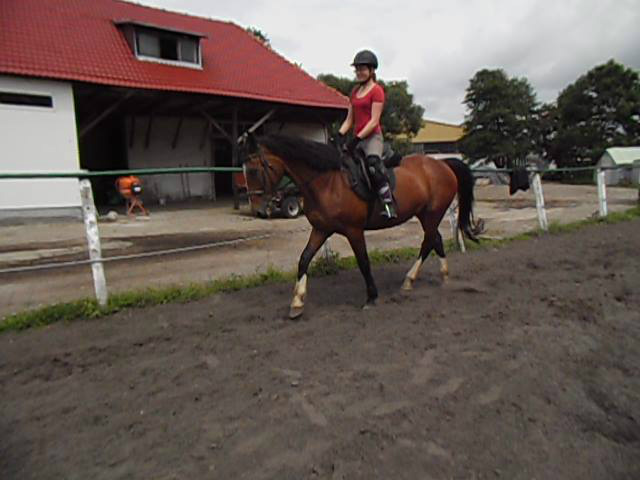 Mag :3