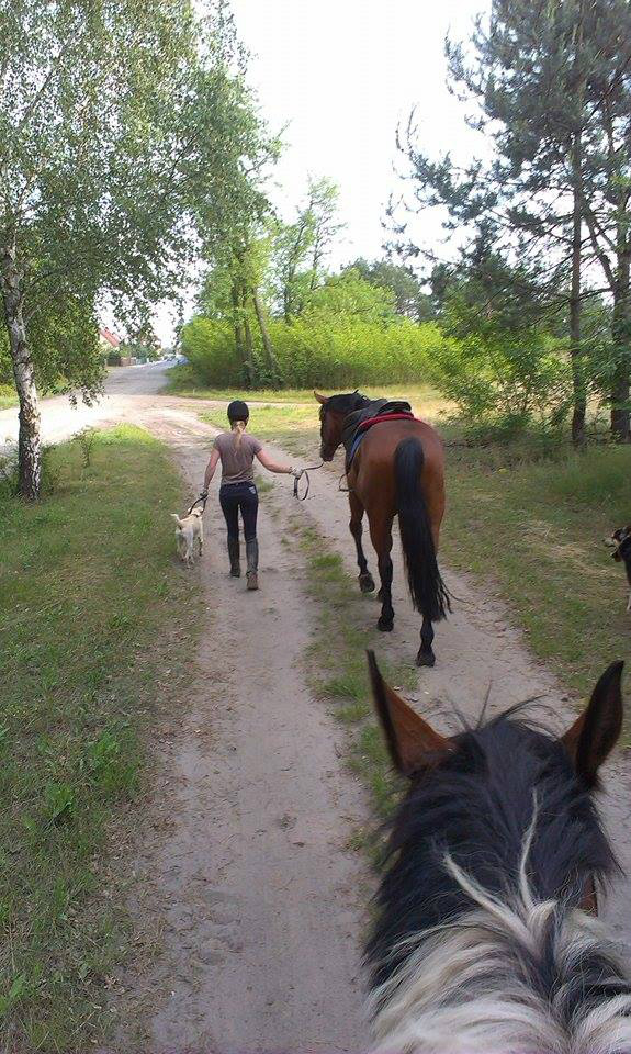 Odnaleziony w terenie...