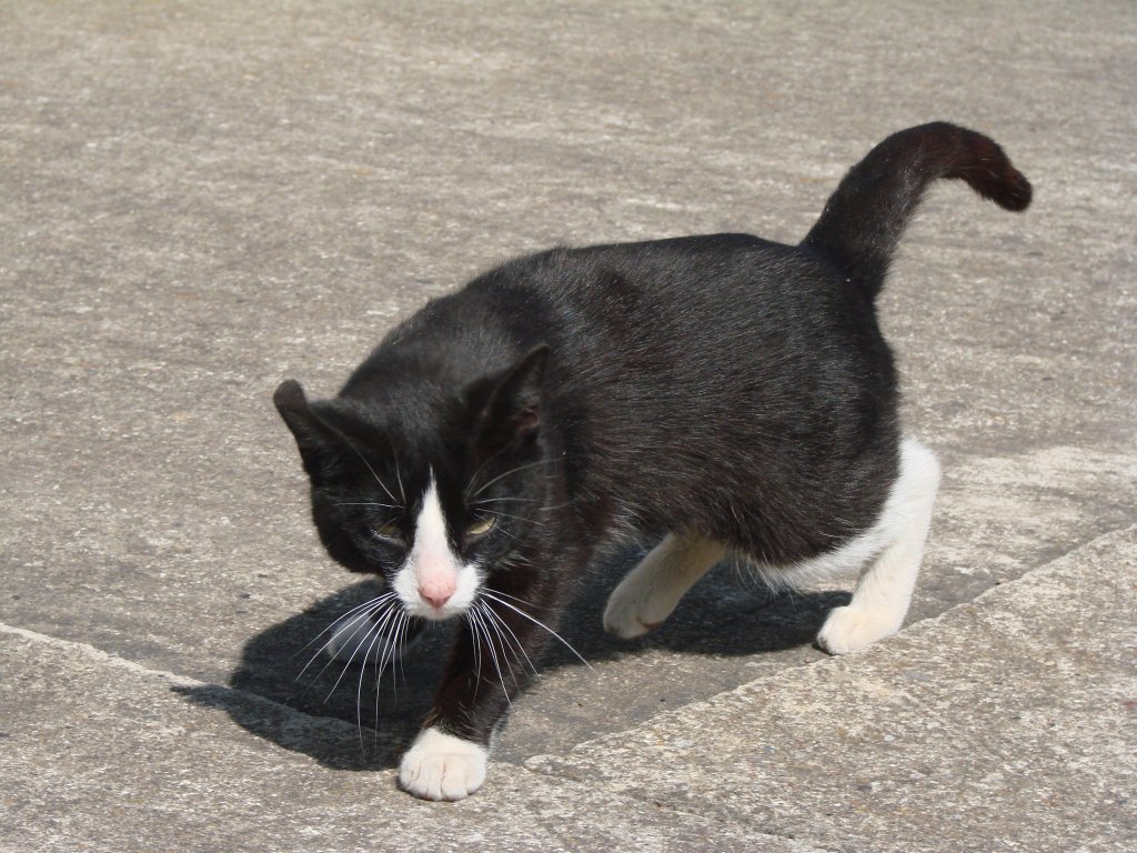 1.