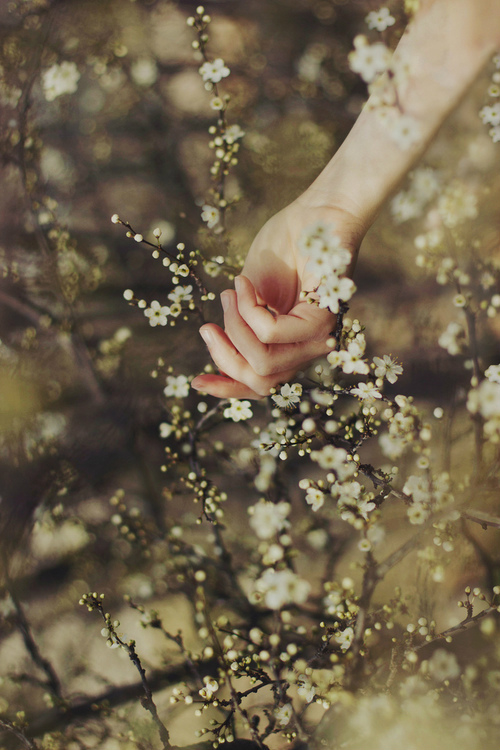 Iwona