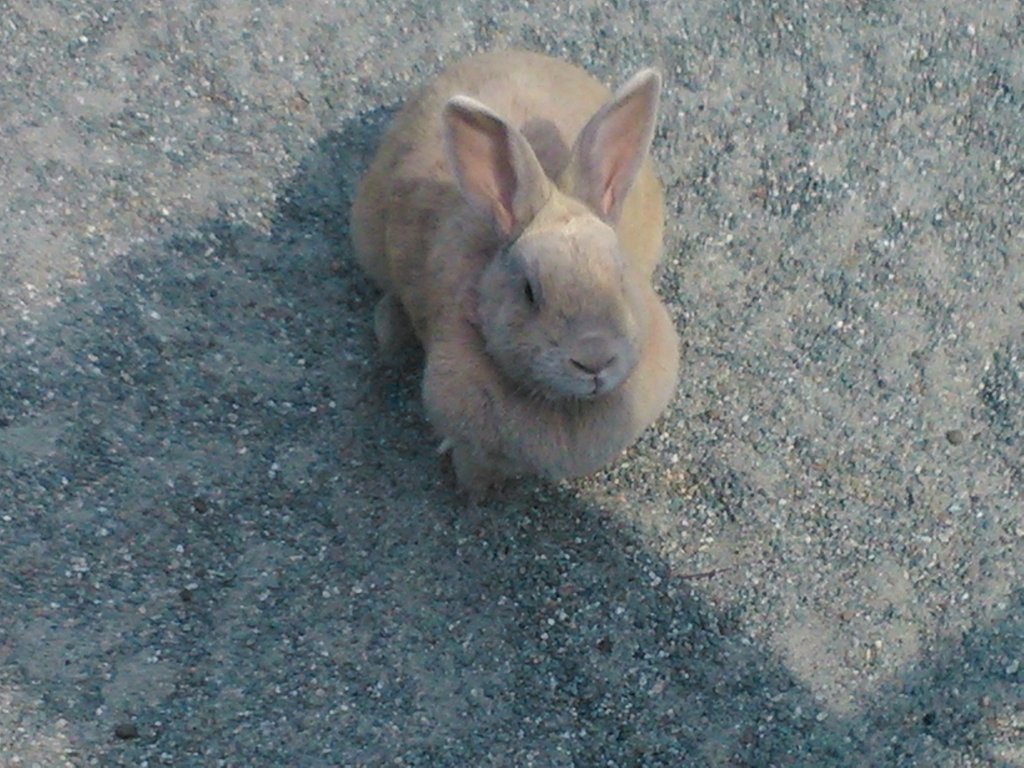 :3