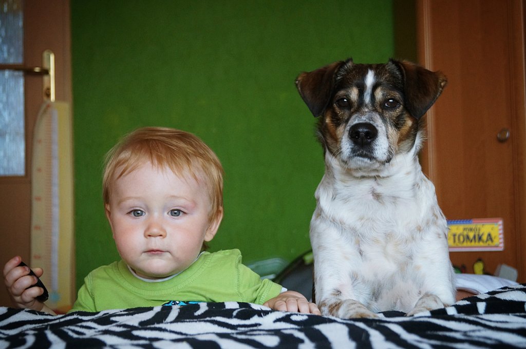 Tomi i Brando