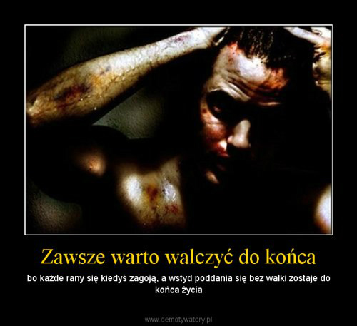 mog mie wiat u stp !