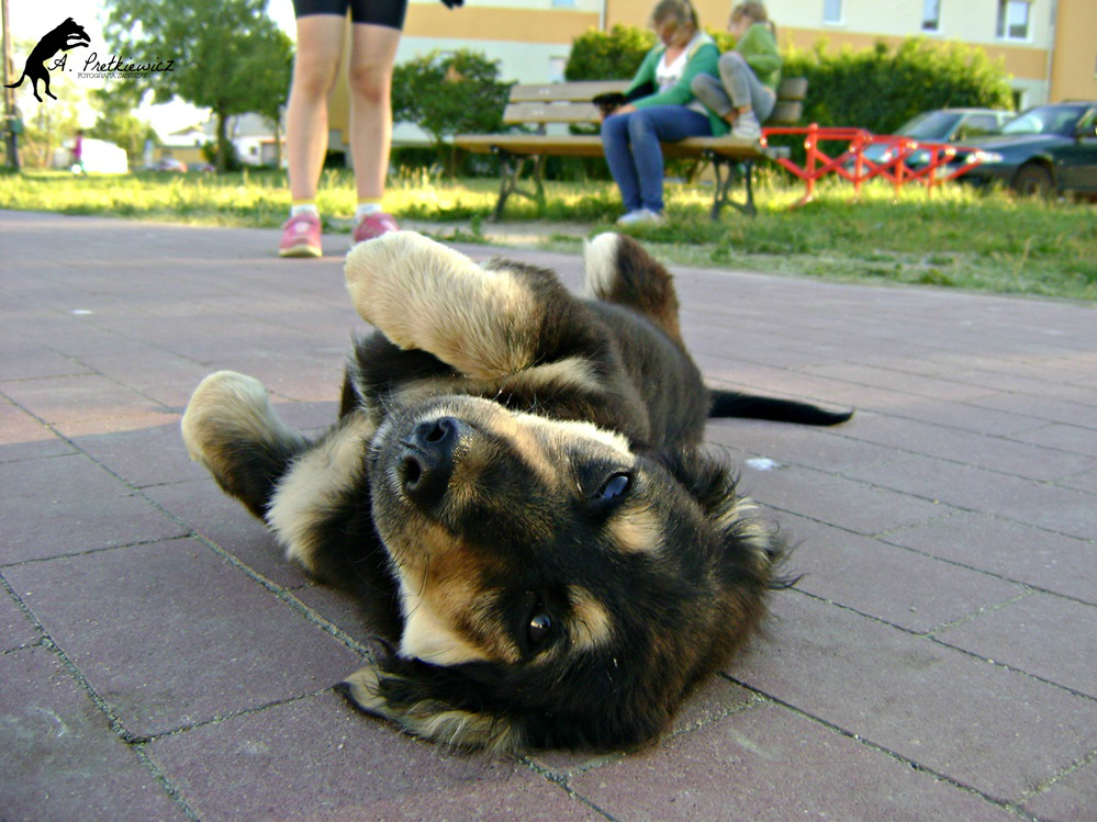 Feliks