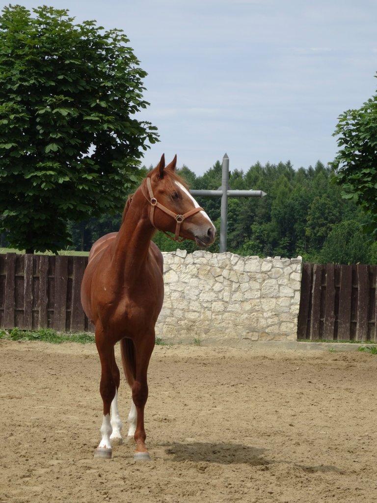 Karafinn 