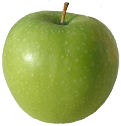 elazowa Wola .