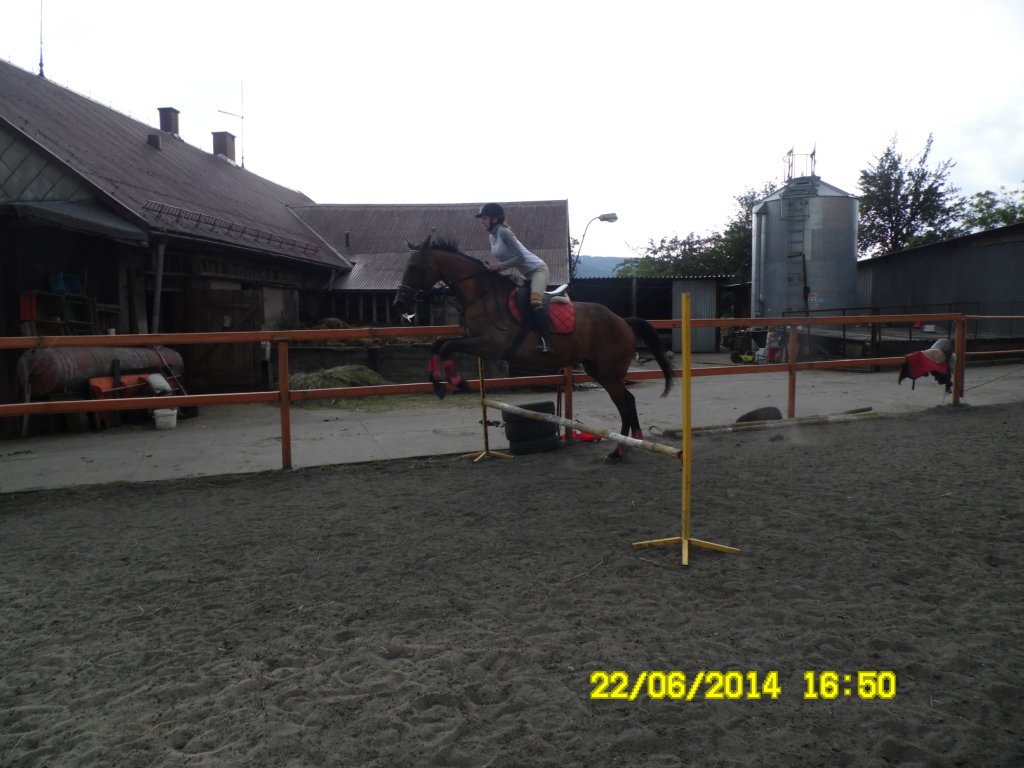Hops :)