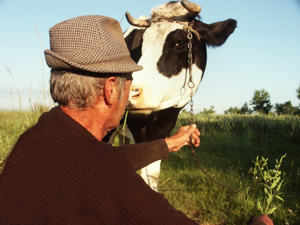 77.