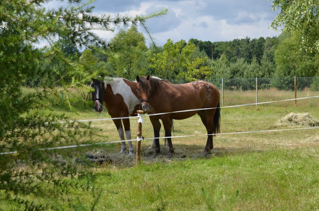 Sojka i Balbina :)