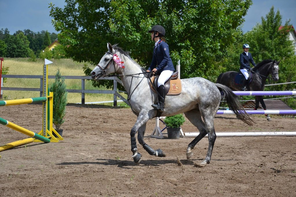 TARKA team