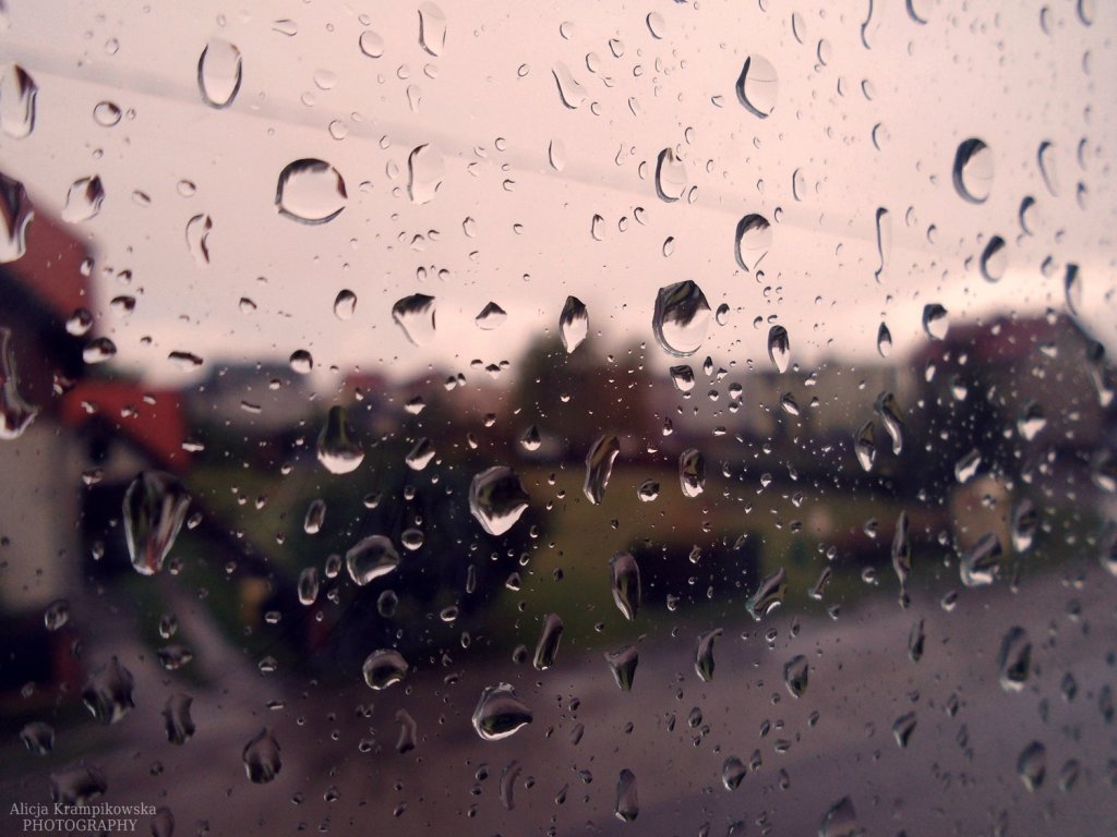 chod, odpyniemy dzi.