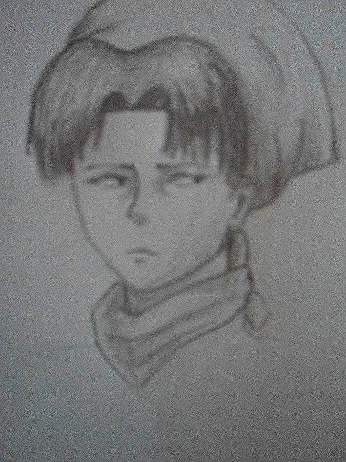 Levi