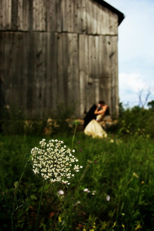 Iwona