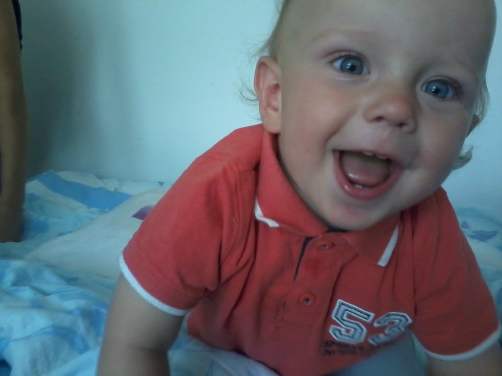 Franek 
