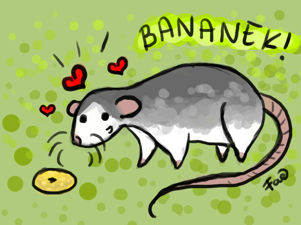 Z braku laku i bananek dobry.
