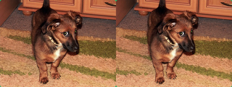 Moka! Cudo:* :*