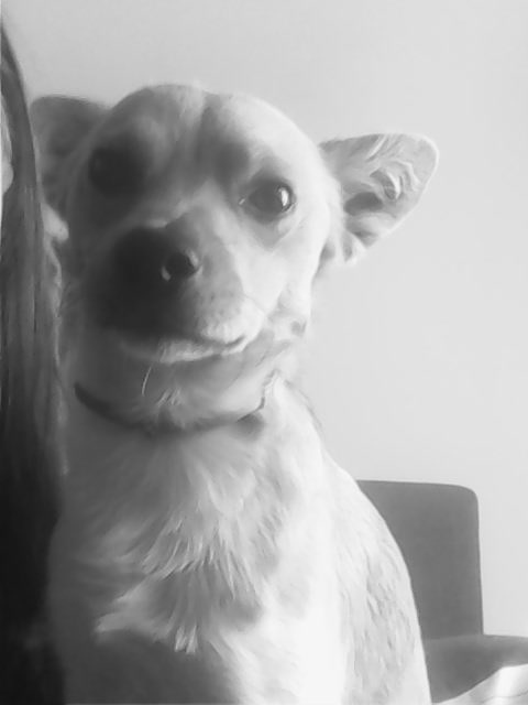 Mj wspaniay. 