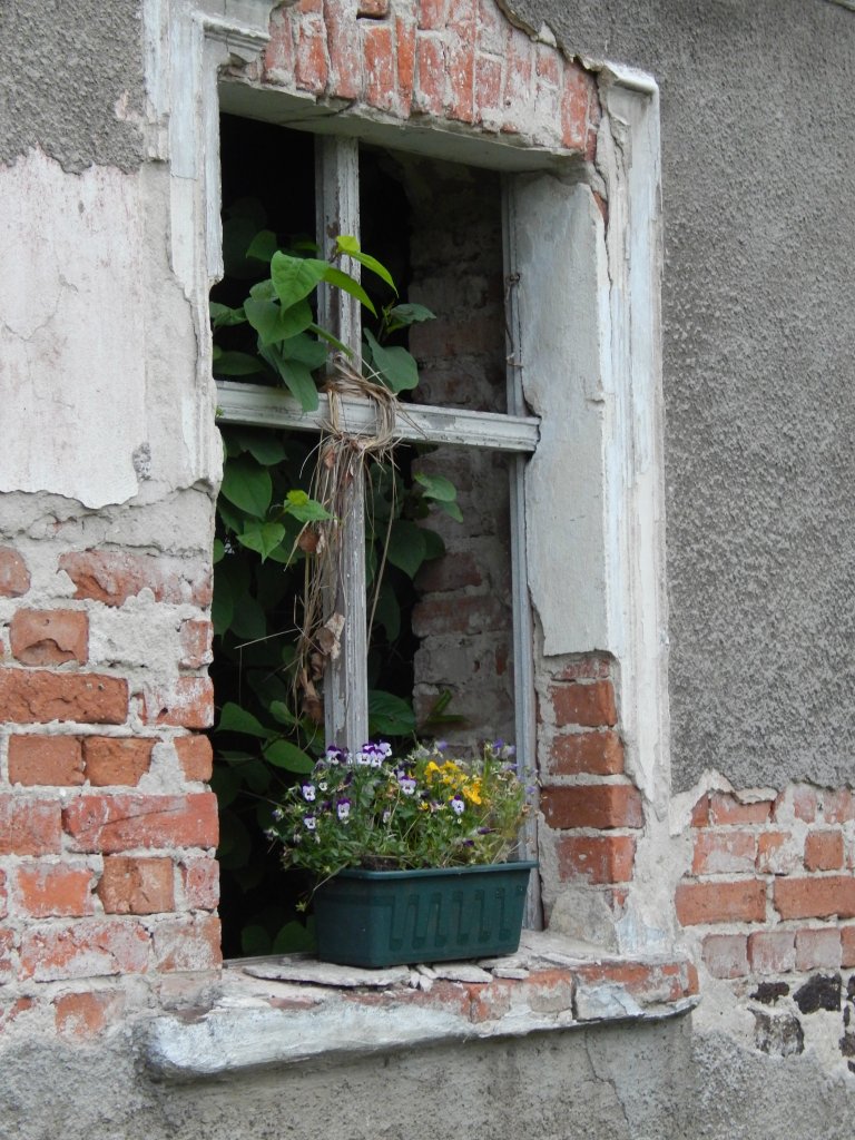 Okienko
