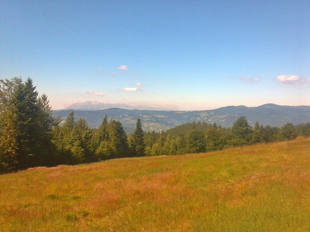 omnica :)