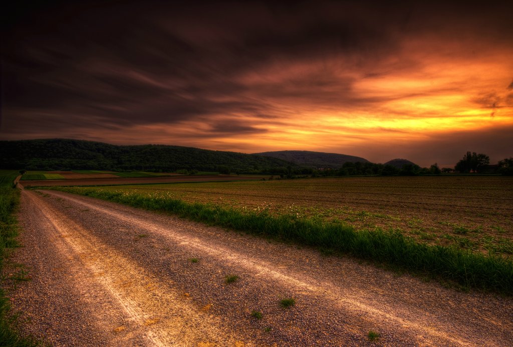 The long road 