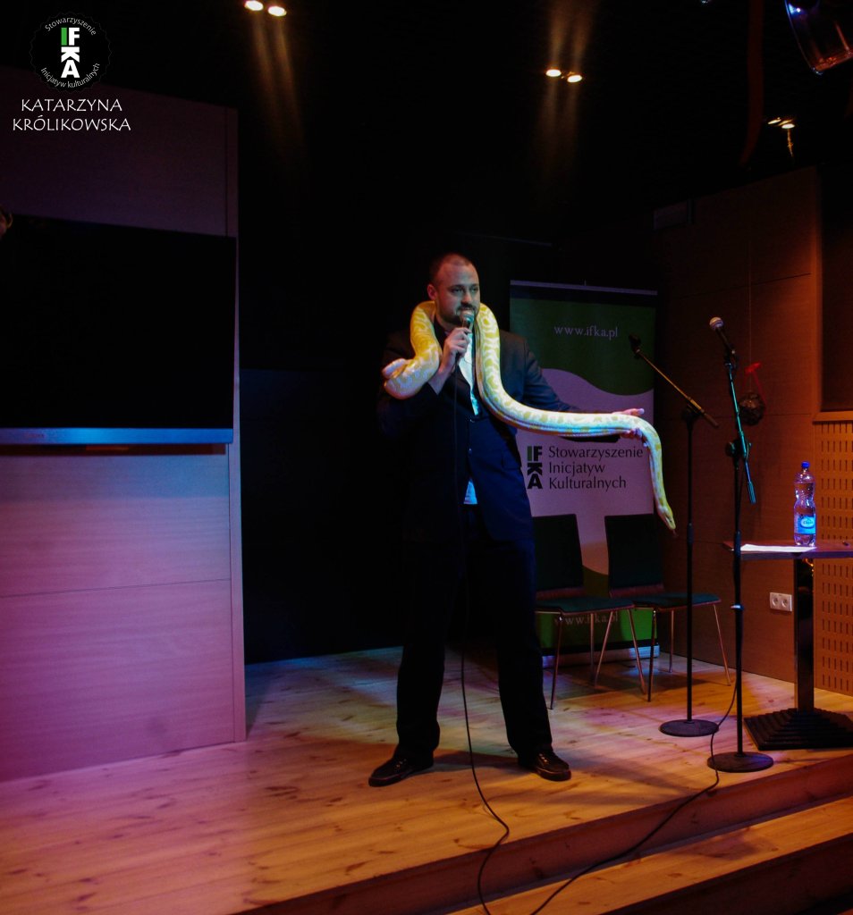 Stand-up z pytonem tygrysim