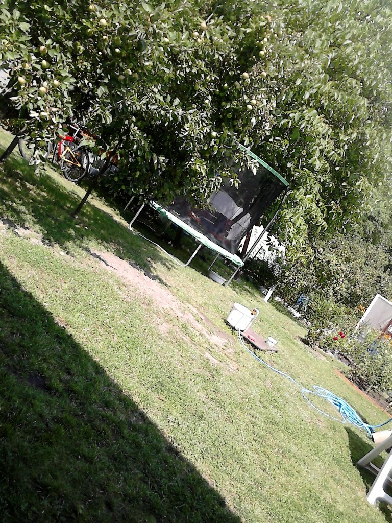 dziaka