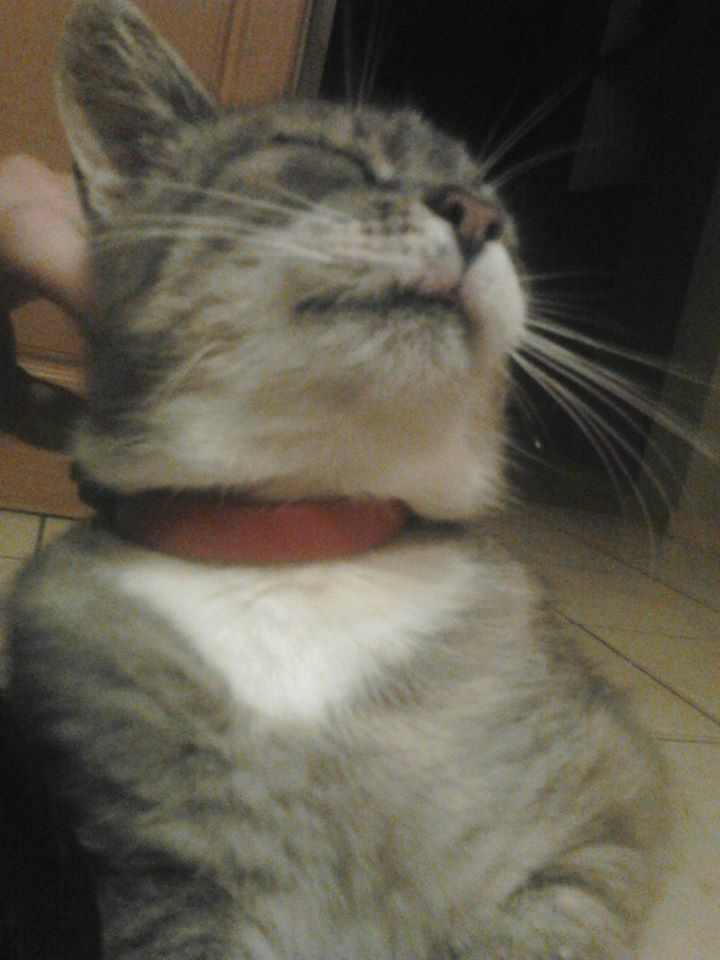 Cici ;3