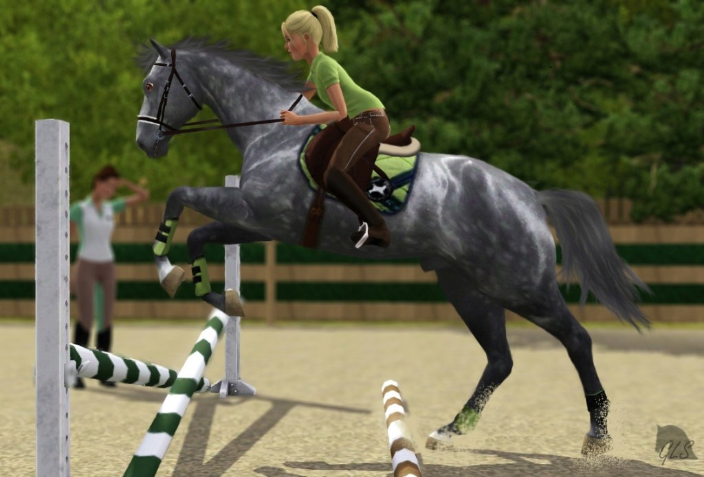 Training JUV&Mel