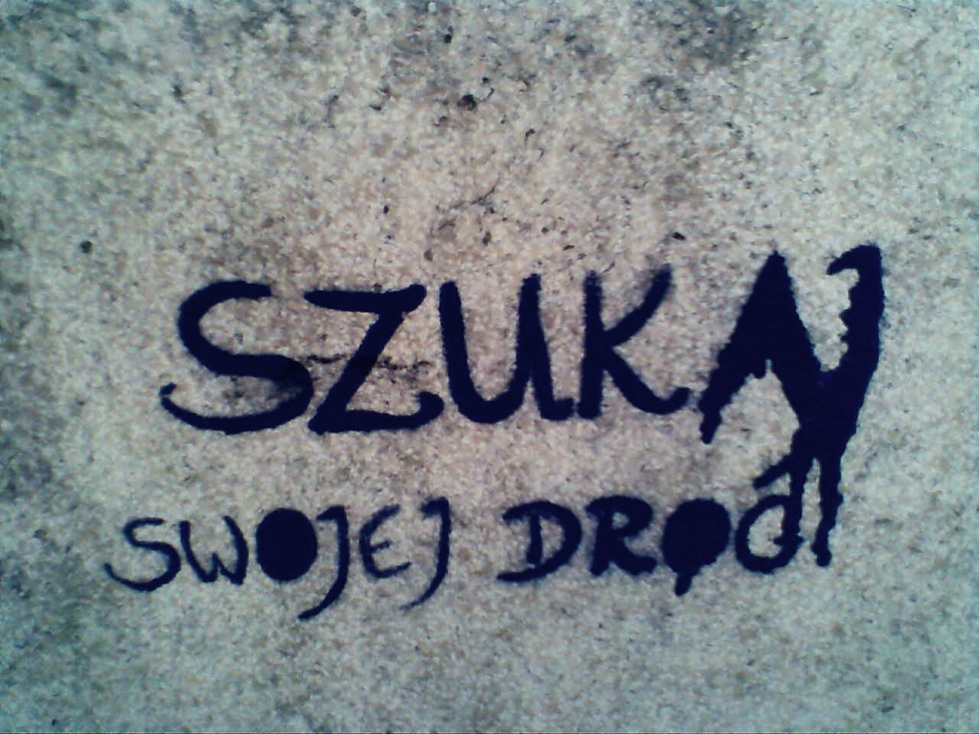 Szukaj