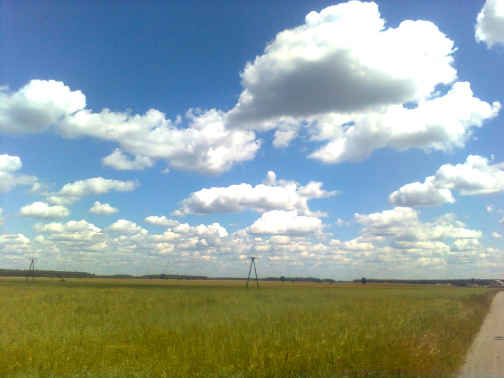SKY!