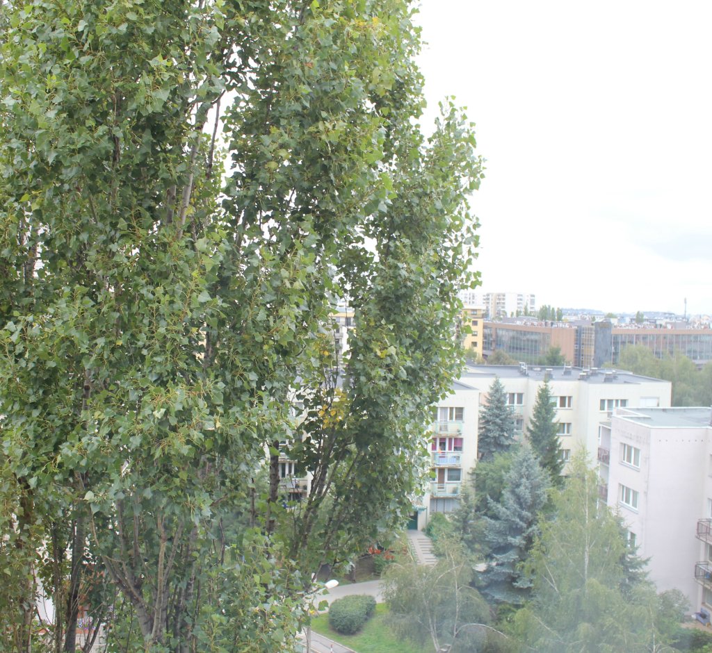kocapocztki