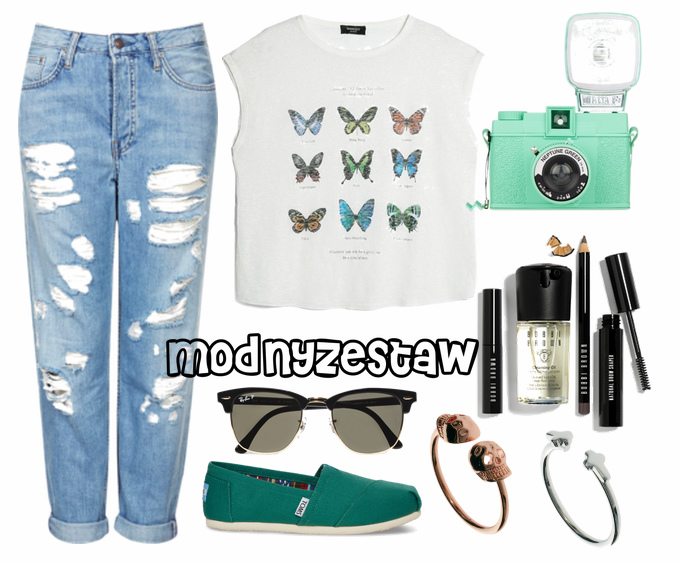 butterfly