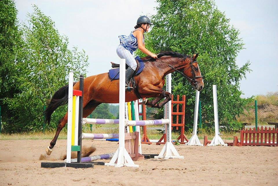top  hors!