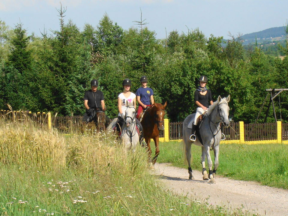 terenik