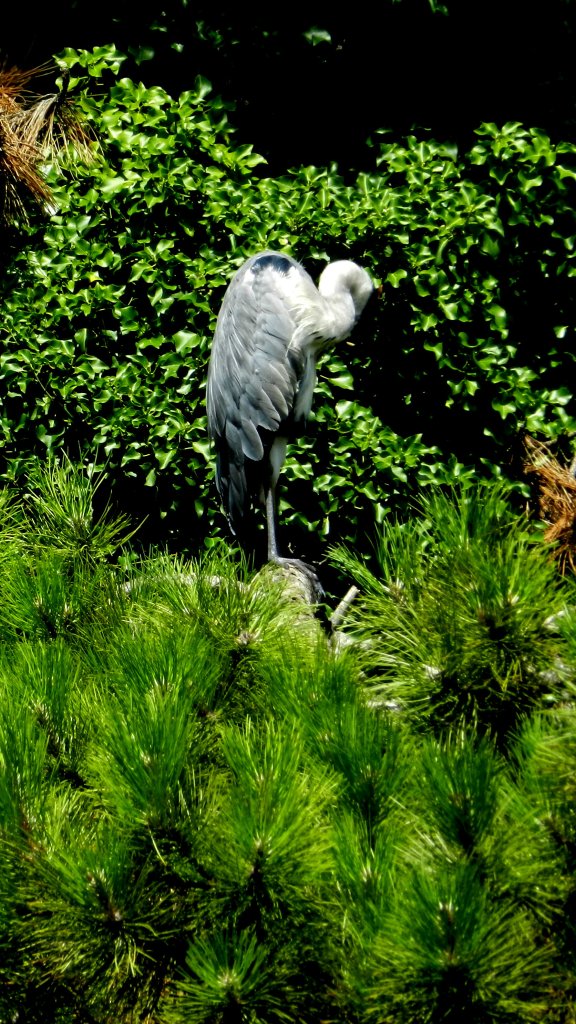 ZOO :)