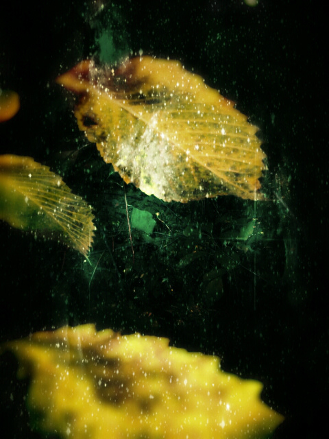 Nowy photoblog