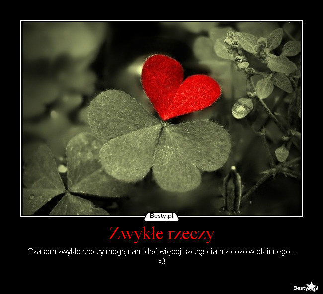 Mio na zwykej koniczynie