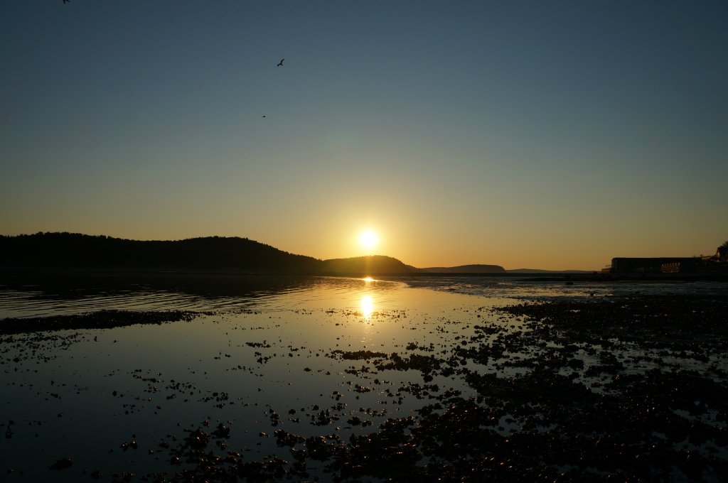 Bar Harbor sunrise