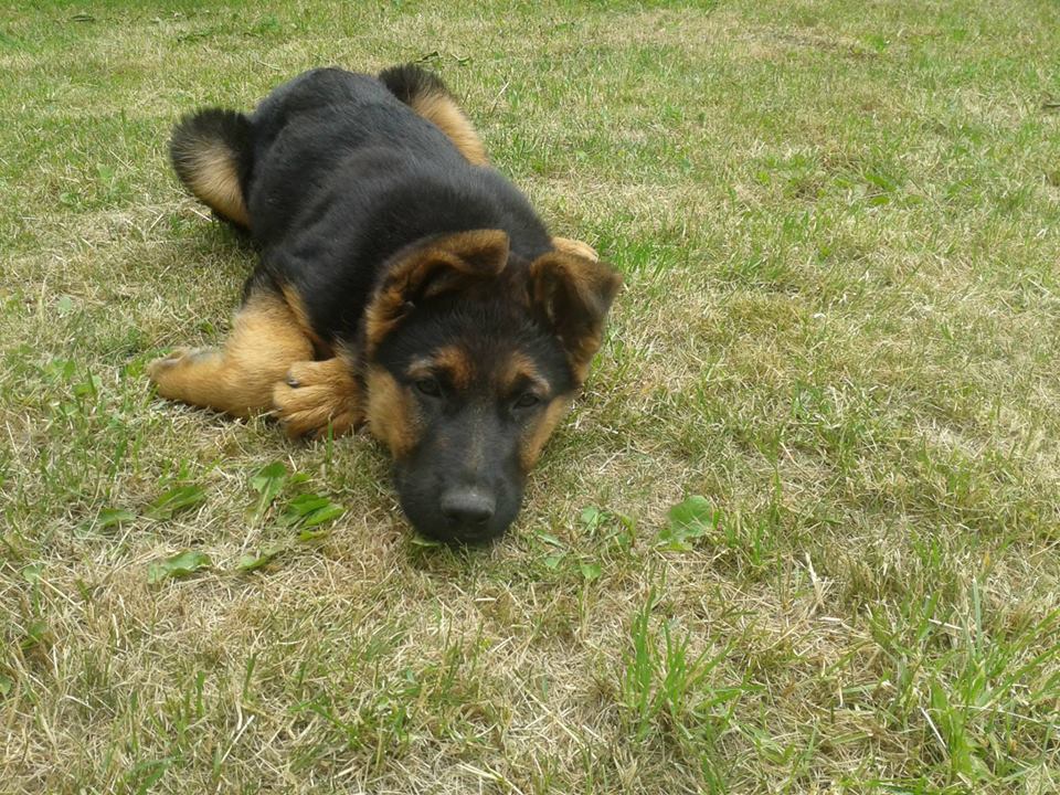 Diego *.*