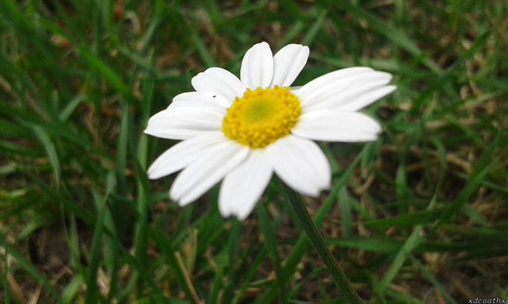 &#9829;