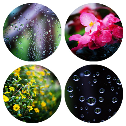 Rainy day