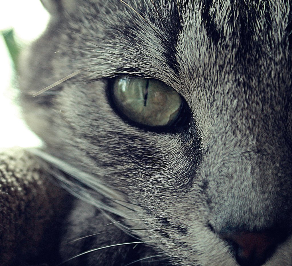 Eyeeeee