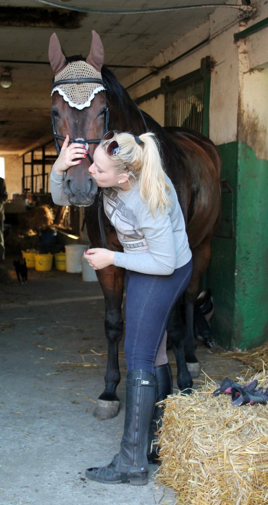 horselove