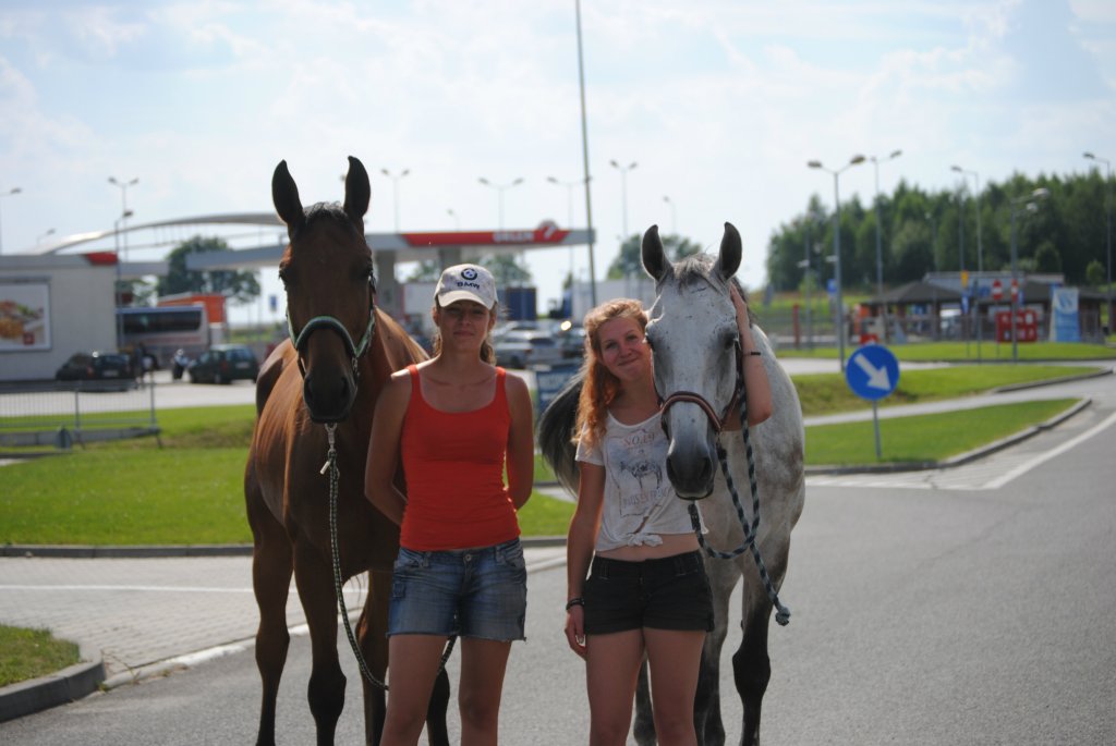 Orlen przygoda.